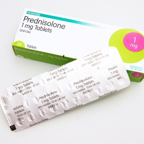 Prednisolone tablets
